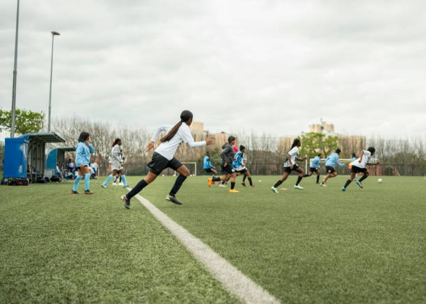 双赢未来 双赢未来